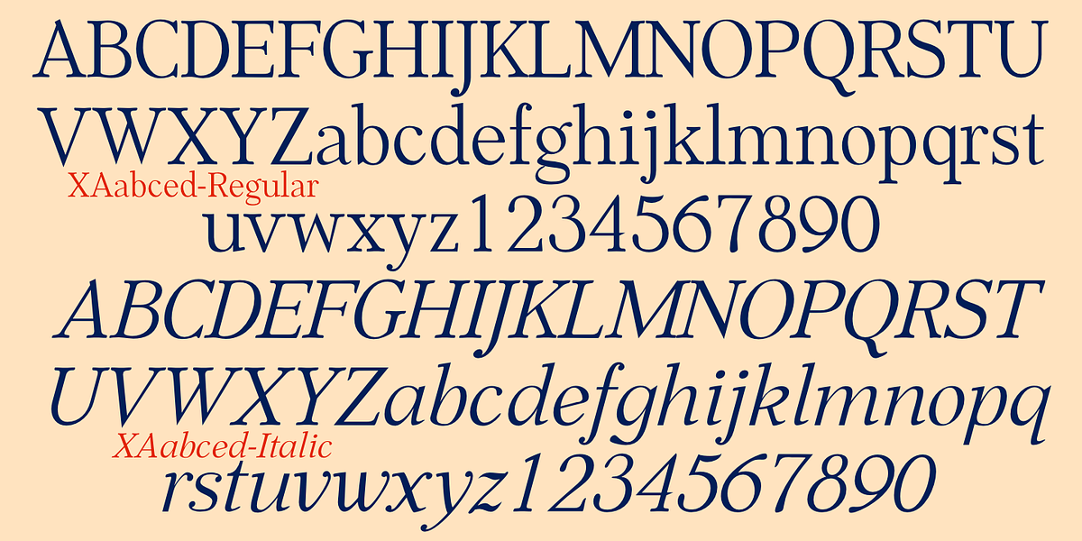 XAabced, a Serif Font by Ingrimayne Type (Photo 8 of 9)