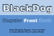 BlackDog, a Serif Font by Cool Fonts (Thumbnail 3 of 7)