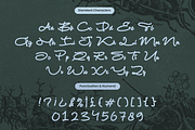 Fastura - Smooth Bold Brush Script, a Script Font by Inviline.co (Thumbnail 3 of 10)