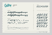 Saltery Brush Font, a Script Font by Panatype™ Studio (Thumbnail 2 of 10)