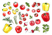 Food watercolor. Vegetables, a Food Illustration by irina.vaneeva (Thumbnail 2 of 25)