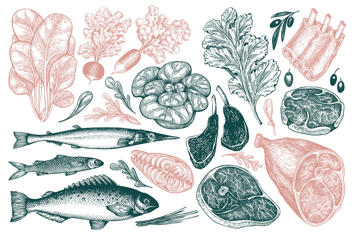 Paleo Diet Vector Collection, a Food Illustration by Lubov Illustrations Shop (Photo 3 of 7)