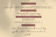 JanethVille - A Signature Font, a Script Font by Dm Studio (Thumbnail 7 of 7)