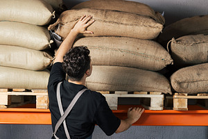 Rear view of a warehouse worker choo, a Person Photo by Artem Varnitsin