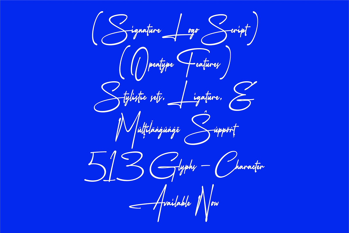 AUTHENTIC RADIO | Signature Logo, a Handwritten Font by Havinkpen (Photo 12 of 15)