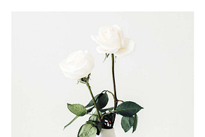 Vertical Lifestyle Image Roses