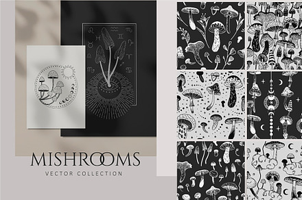 Mushrooms. collection