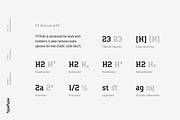 TT Polls, a Slab Serif Font by TypeType (Thumbnail 5 of 18)