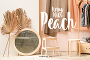Summeria Handbrush Script Fonts, a Script Font by edukka (Thumbnail 6 of 8)