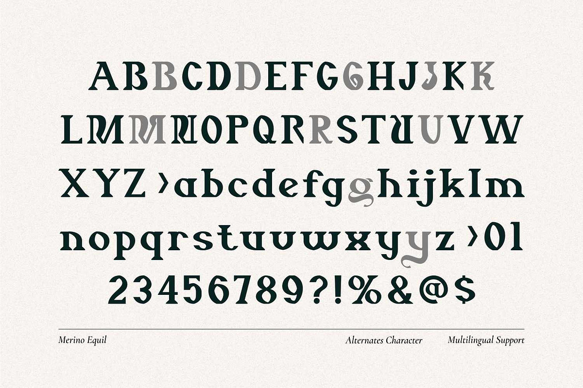 Merino Equil - Modern Serif Font, a Serif Font by Imoodev (Photo 5 of 5)