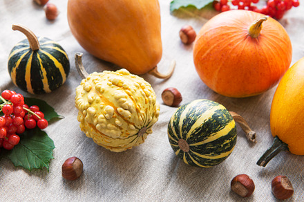 A rustic autumn still life with pumpkins, a Food & Drink Photo by Olena Rudo