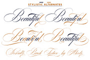 Desirable Brush Texture, a Script Font by Alcode (Thumbnail 4 of 13)