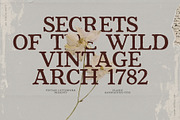 Bramwell - Vintage Serif, a Handwritten Font by Prapti Design (Thumbnail 1 of 11)