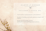Pink and Yellow Floral Background, a Photo by Clove and Cedar Design (Thumbnail 2 of 2)