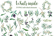 Olive Watercolor Clipart PNG, a Decorative Illustration by PatternPalette (Thumbnail 2 of 8)