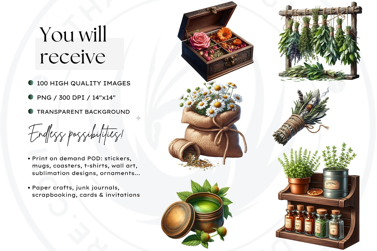 100 Medicinal Herbs clipart Set, a Decorative Illustration by ThatsDesignArt (Photo 2 of 10)