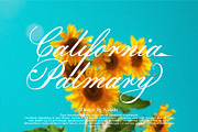 Pure Saturday - Font Duo, a Serif Font by Alcode (Thumbnail 17 of 19)