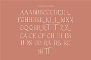 FURBELOWS - Fusion Display Typeface, a Serif Font by Havinkpen (Thumbnail 7 of 9)