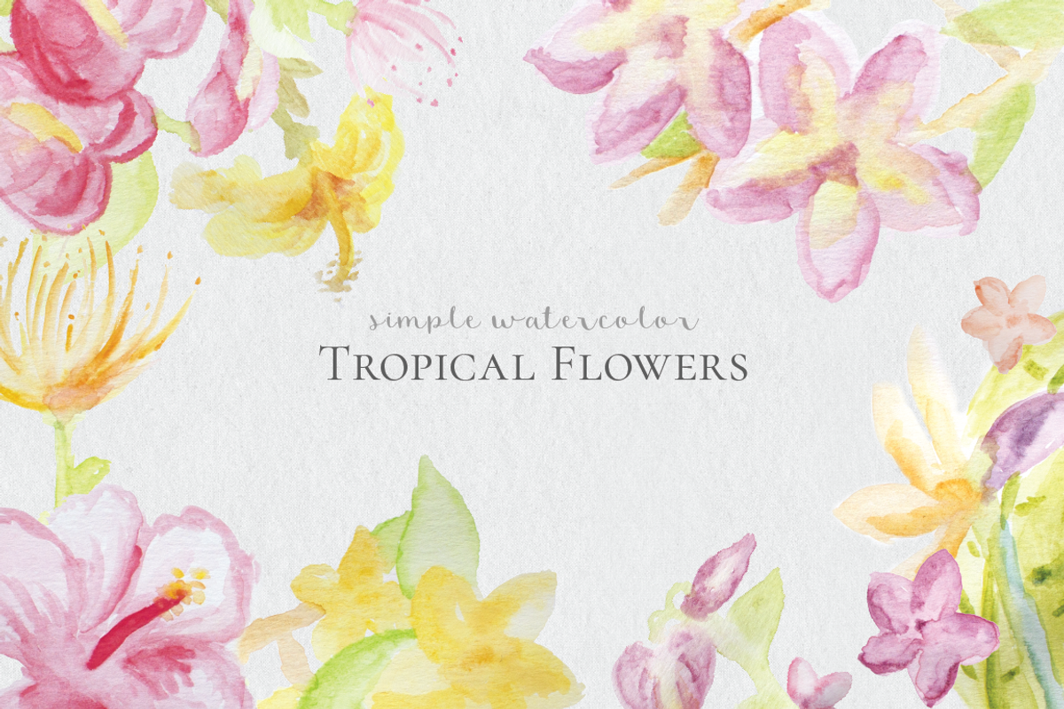 Watercolor Tropical Flowers, an Illustration by DesignsByMissM