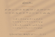 Remonila Elegant Handwritten Script, a Handwritten Font by BrandSemut (Thumbnail 12 of 12)