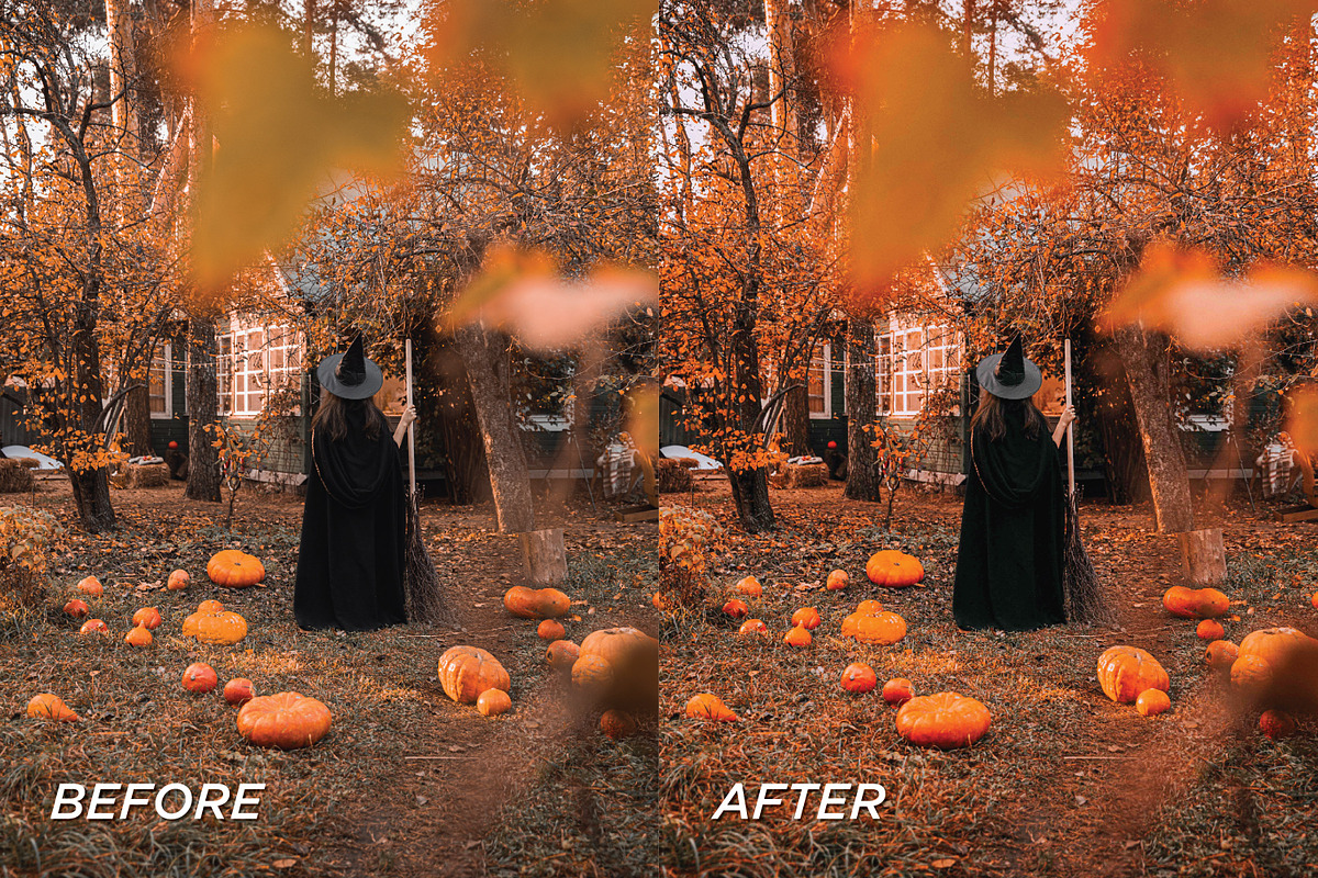 15 Autumnal Lightroom Presets, a Preset Add-On by TheWayfarerShoppe (Photo 6 of 8)