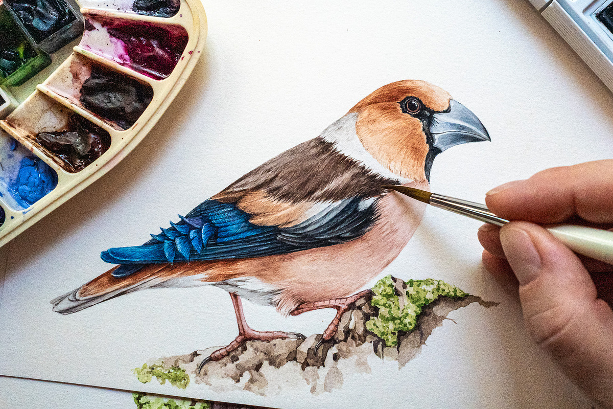 Forest Birds Watercolor Set, an Animal Illustration by AnitaPol (Photo 9 of 26)