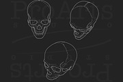 Human Skull Brush Stamp Set, a Brush Add-On by Lucrumplus (Thumbnail 2 of 4)