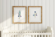 Watercolor Botanical Wildflowers Set, a Decorative Illustration by Carol Lozove (Thumbnail 10 of 36)