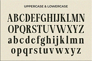 Lignis, a Serif Font by Zafiratype (Thumbnail 13 of 15)