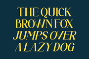 Auronix, a Serif Font by Rishsketch (Thumbnail 10 of 15)