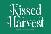 Silent Gingers Modern Serif Font, a Serif Font by timelesstype.co (Thumbnail 8 of 20)