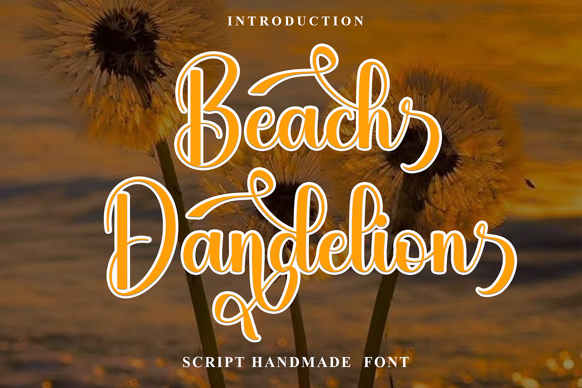 Beach Dandelion, a Handwritten Font by FreshTypeINK (Photo 1 of 8)