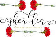 Beautiful Special Bundle, a Handwritten Font by Yoga Letter (Thumbnail 24 of 24)
