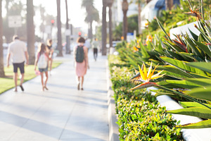 Promenade in santa monica, california