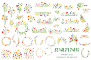 Watercolor Wildflowers clipart, a Decorative Illustration by Lemon design (Thumbnail 2 of 21)