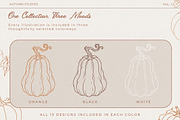 Painted Pumpkin | Pumpkin Line Art, a Seasonal Illustration by Fins and Fiction (Thumbnail 3 of 5)