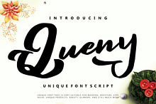 Queny | Unique Font Script
