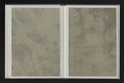 Faded Herbarium: Texture Backgrounds, a Texture Graphic by lerinartstudio (Thumbnail 5 of 13)