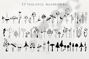 Mystical Mushrooms - graphic kit, an Animal Illustration by My Space Garden (Thumbnail 7 of 17)
