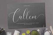 Calligrapher's  Font Bundle (98%Off), a Script Font by Genesis Lab (Thumbnail 5 of 44)
