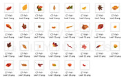 70 Natural Falling Leaf Overlays, a Layer Style Add-On by CityTurtles (Thumbnail 9 of 9)