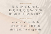 Roman Sophisticated Font Duo, a Serif Font by BrandSemut (Thumbnail 18 of 20)