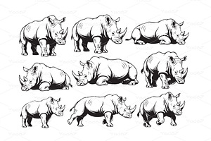 Vector illustrations of rhinos., an Animal Illustration by yod67
