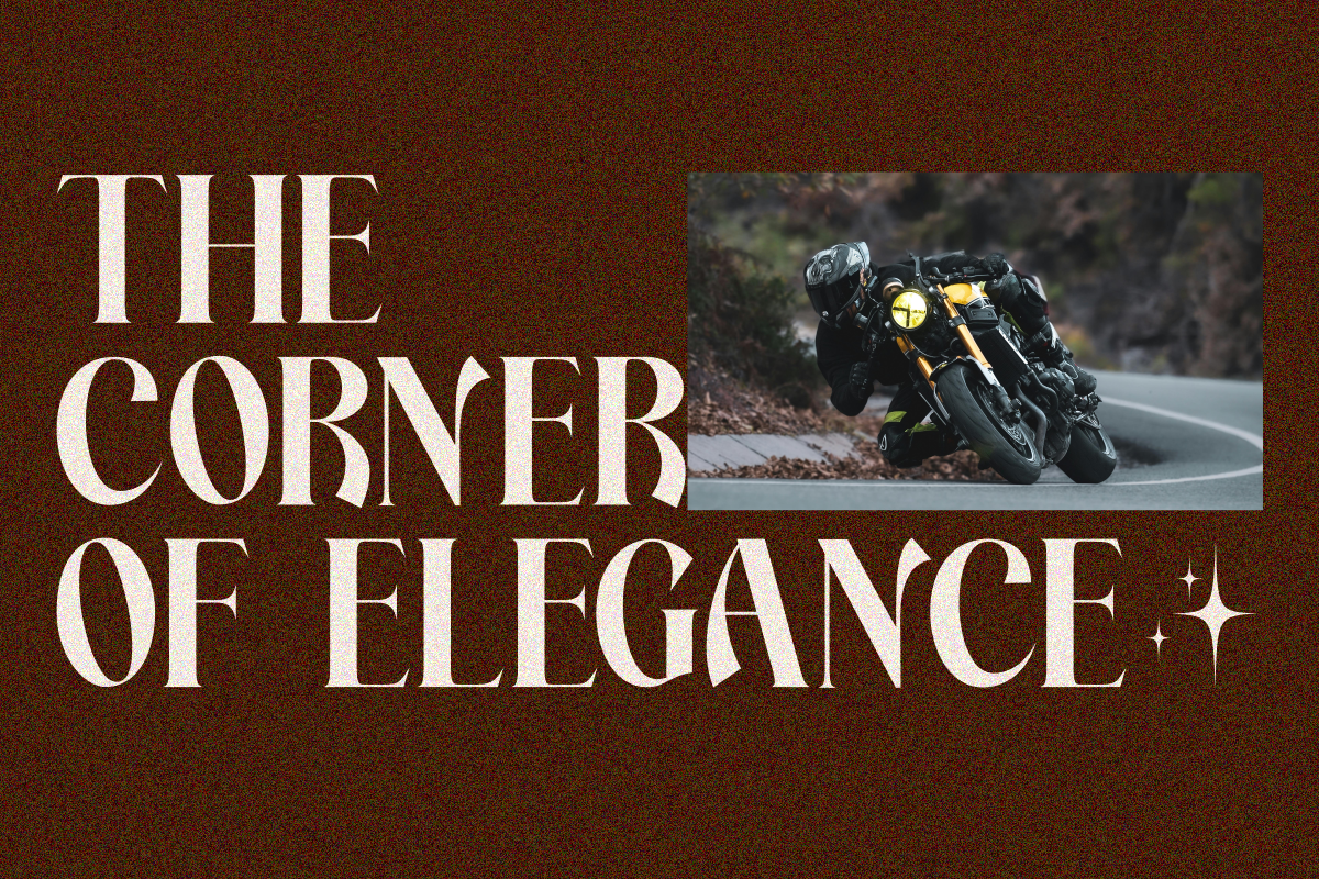 Averdyn, a Serif Font by zaaintype (Photo 8 of 10)