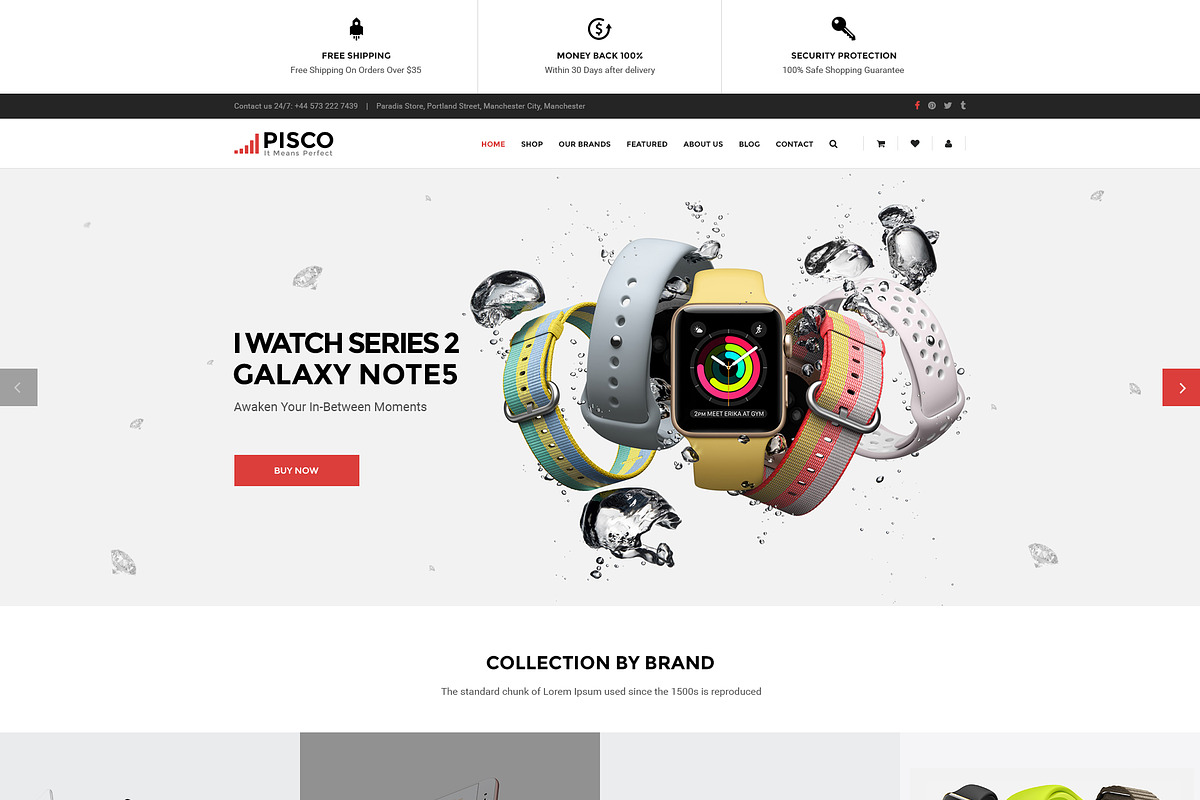 Pisco - WooCommerce WordPress Theme, a WordPress Template by WPThemeGo (Photo 2 of 3)