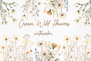 Wild Dry Pressed Flowers Clipart