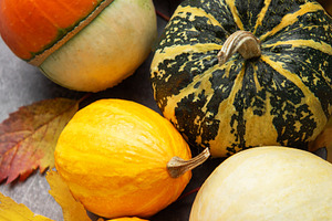 Decorative gourds and autumn leaves reflecting harvest season, a Holiday Photo by Olena Rudo