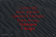 Nostrade, a Serif Font by Aluyeah Studio (Thumbnail 5 of 15)