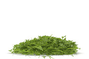 Arugula PS, an Environmental 3D Model by AndrewWhite (Thumbnail 6 of 7)