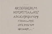 SWEET BIRDY – Handwritten Font, a Script Font by Hybridbee Design (Thumbnail 9 of 10)